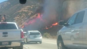 Read more about the article More than 1,000 Californian Inhabitants Evacuated because of the Fast-Growing Corona Wildfire